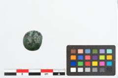 Foto von Bronzeringfußknopf (NHMW-PRAE-026019)